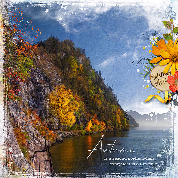 Fall Scenery