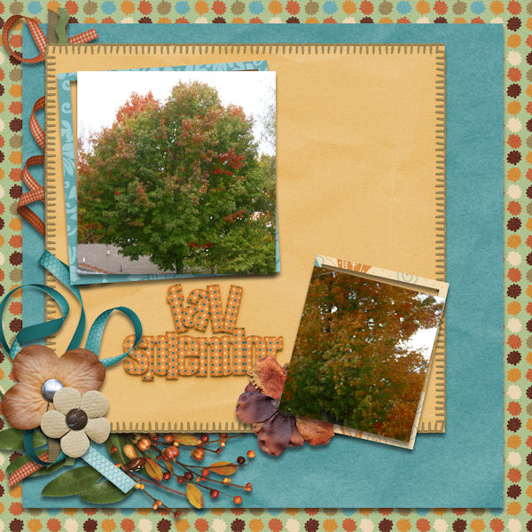 Fall Splendor