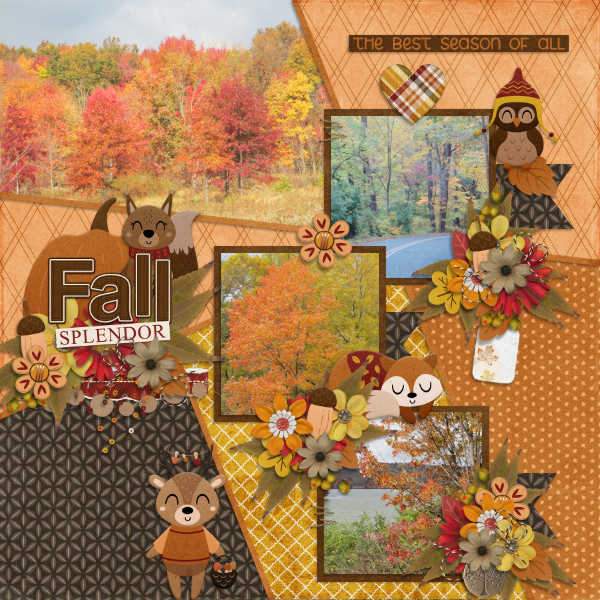 Fall Splendor