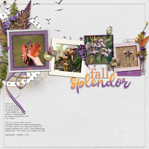 Fall Splendor