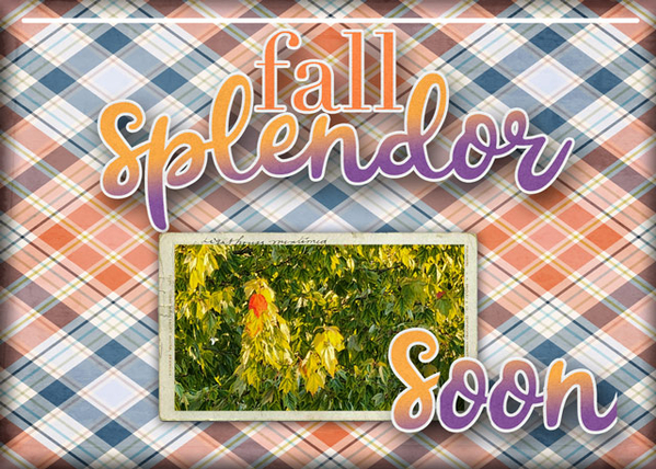 fall splendor