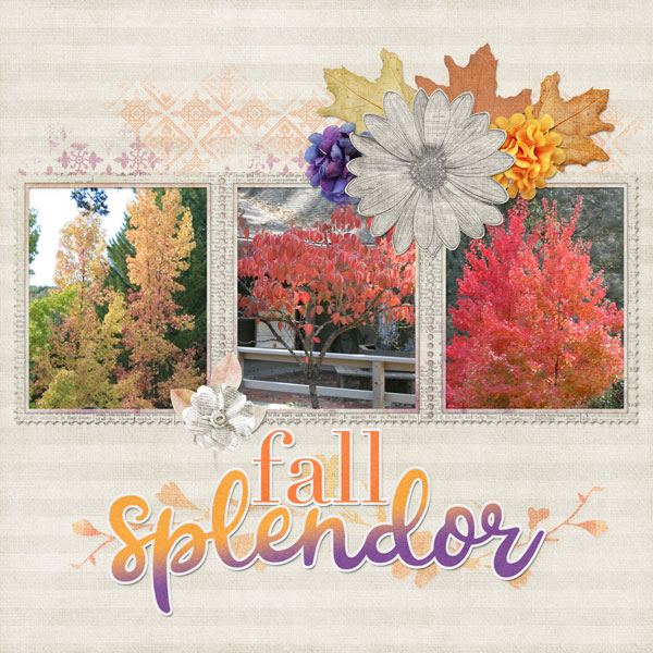 Fall Splendor