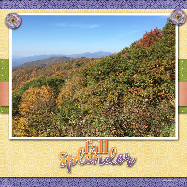 Fall Splendor