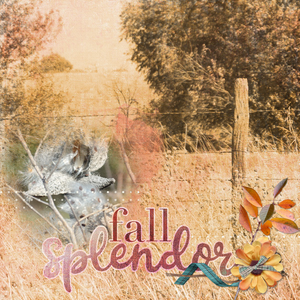 Fall Splendor