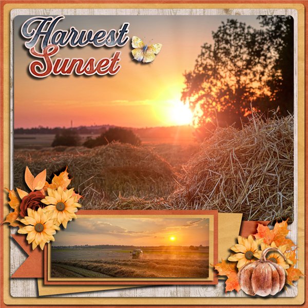 Fall Sunset