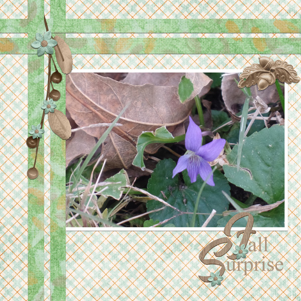 Fall Surprise