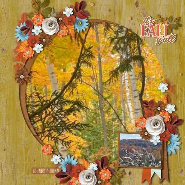 Fall Time