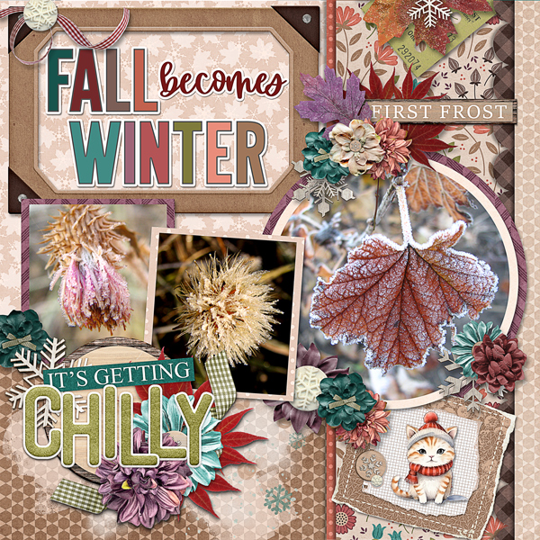 Fall To Winter