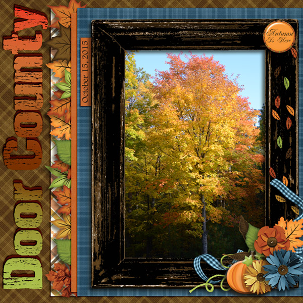 Fall Tree