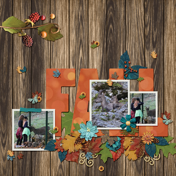 fall trip