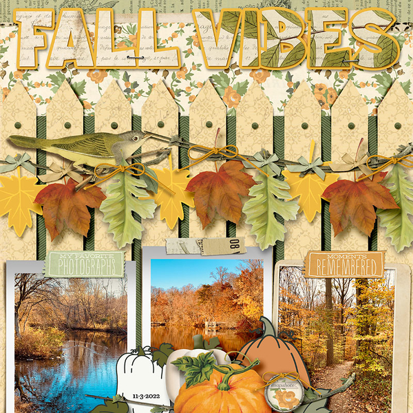 Fall Vibes