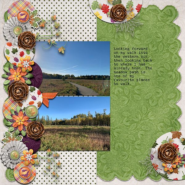Fall Walk at KerryWood Nature Centre