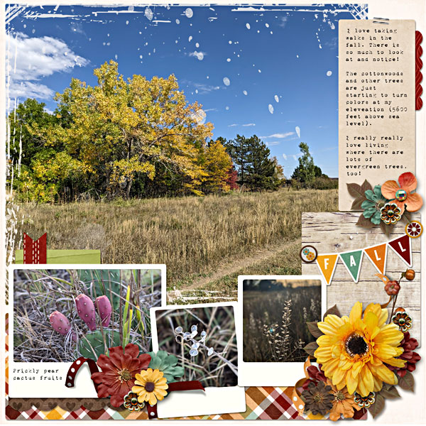 Fall Walk - details