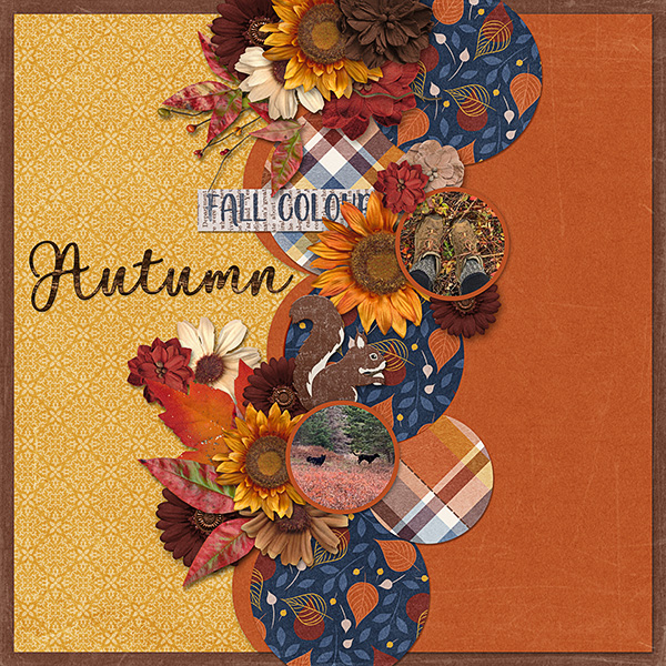 fall-walk