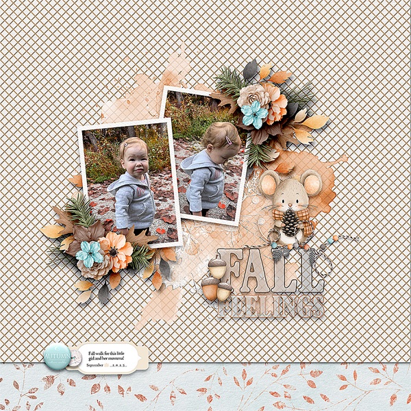 Fall Walk