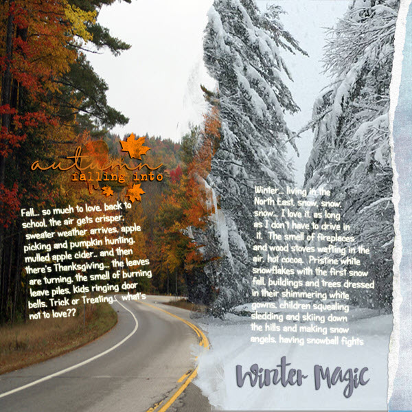 Fall + Winter