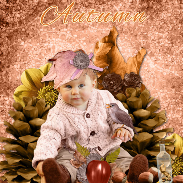 Fall Wishes