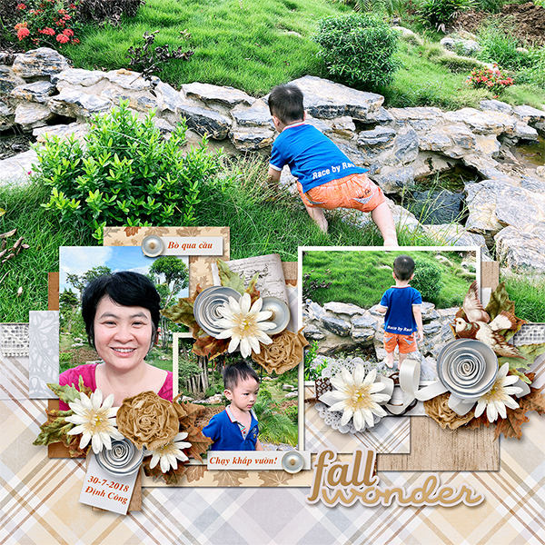 Fall wonder