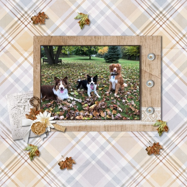 Fall WOnder