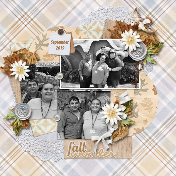 Fall Wonder