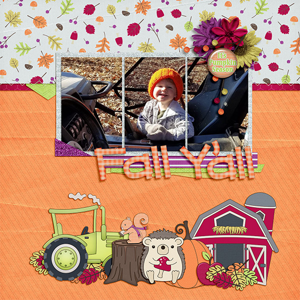 Fall Y