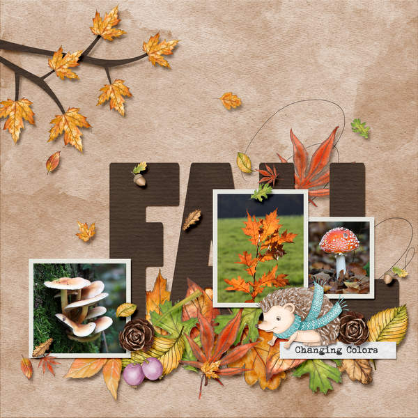 Fall
