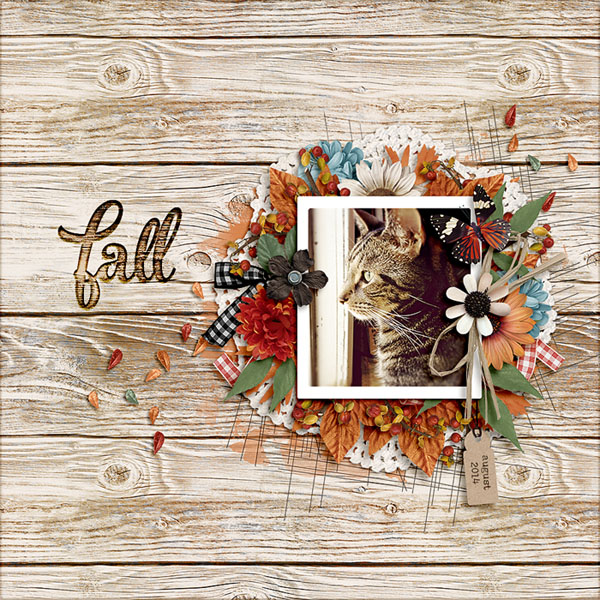 fall