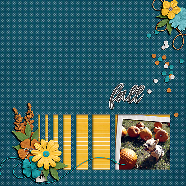 Fall