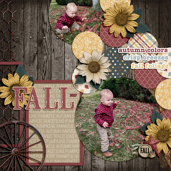 Fall