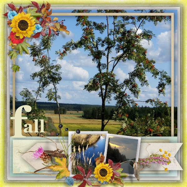 Fall