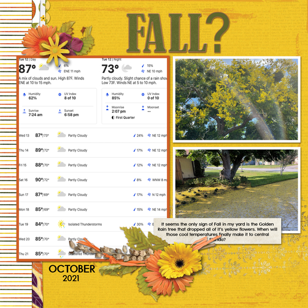 Fall?