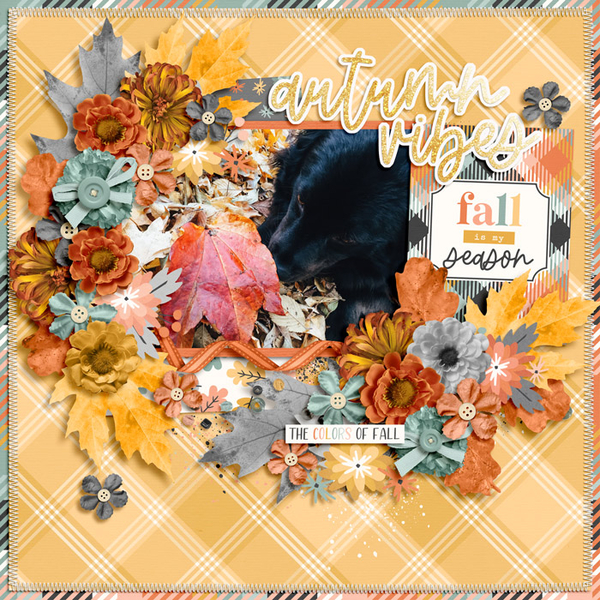 fall