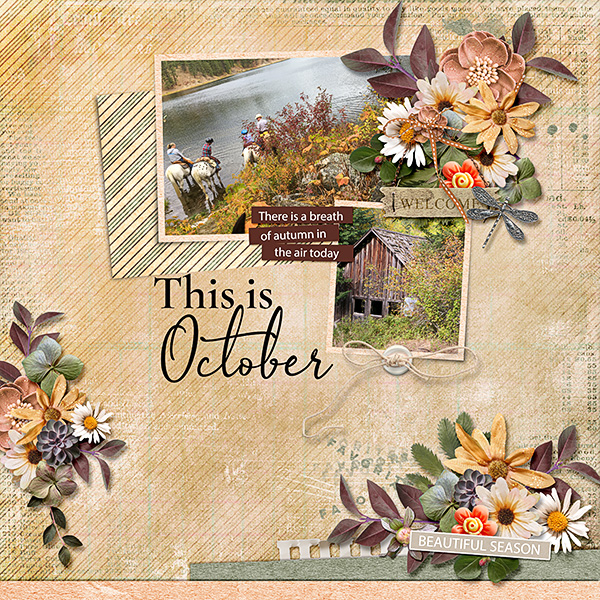 Fall
