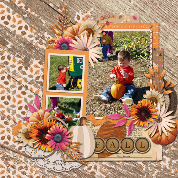 fall