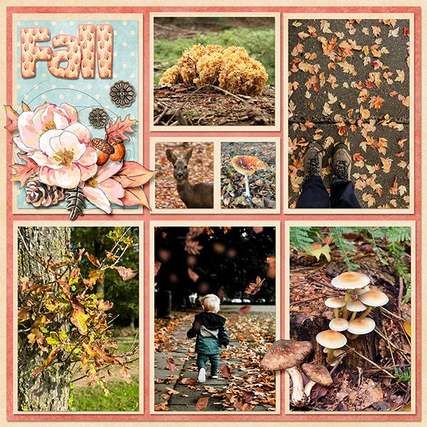 Fall