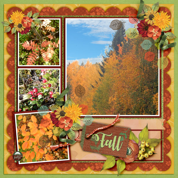Fall49