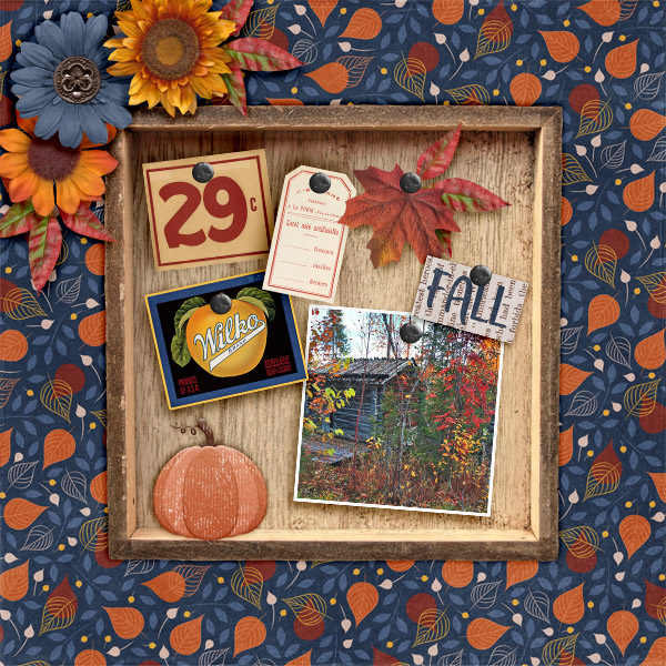 Fall62
