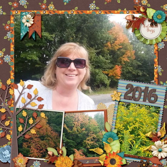 fall_color1