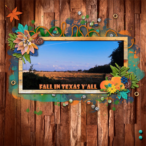 fall_in_texas_yall