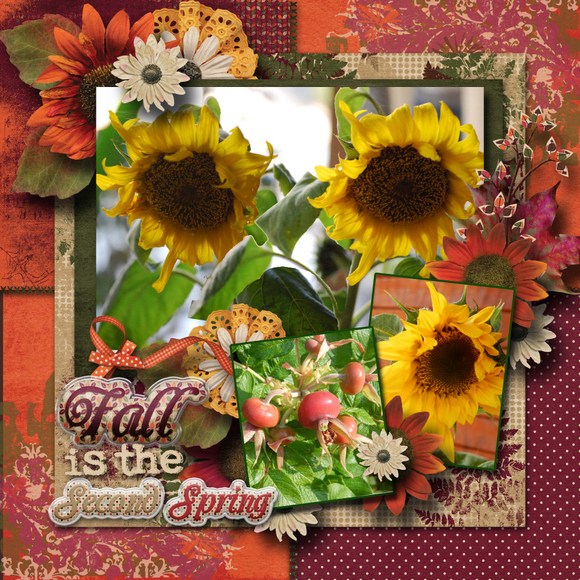 Fall_is_the_second_spring