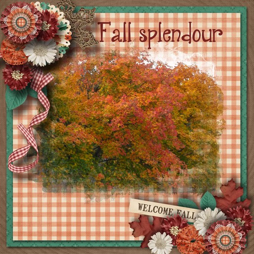 Fall_splendour