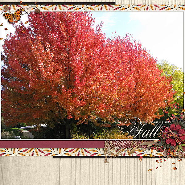 FallColors1
