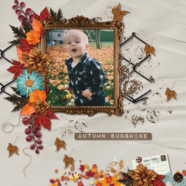 Fallen Leaves