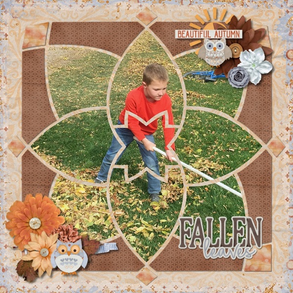 Fallen Leaves