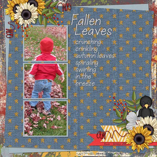 Fallen Leaves