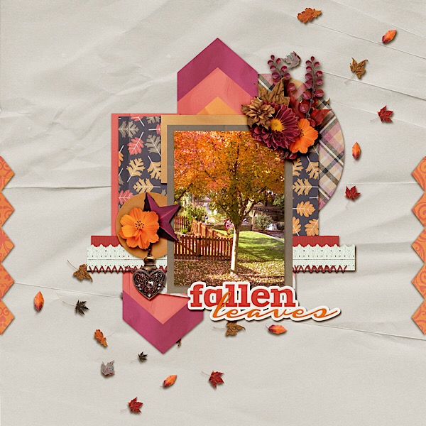 Fallen Leaves