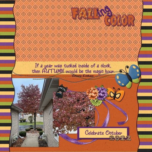 FALLing Color
