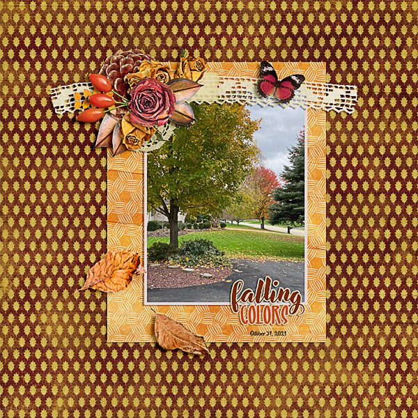 Falling Colors