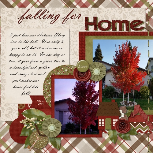 Falling for Home