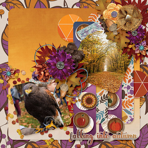 Falling into autumn